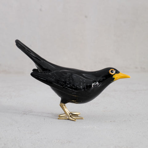 Blackbird com pernas de latão e cauda vertical